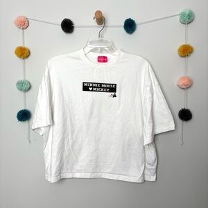 Disney Tokyo Resort Minnie Mouse Mickey Mouse